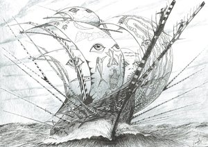 Sturmerschaffer Beringmeer, 2019 von Vincent Alexander Booth