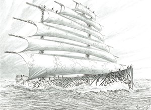 Sturmerschaffer Cape Brett, 2022