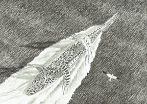 Sturmerschaffer Cape Canaveral, 2022 von Vincent Alexander Booth