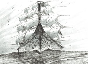 Sturmerschaffer Cape Reinga, 2022 von Vincent Alexander Booth