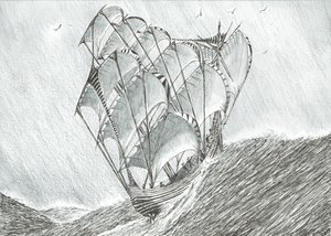 Sturmerschaffer Korallenmeer von Vincent Alexander Booth