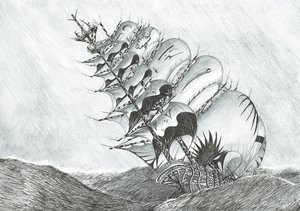 Sturmerschaffer Ostchinesisches Meer, 2017 von Vincent Alexander Booth