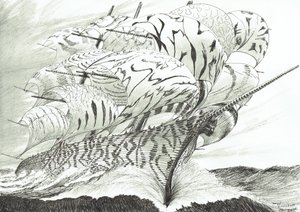 Sturmerschaffer Lake Kariba von Vincent Alexander Booth