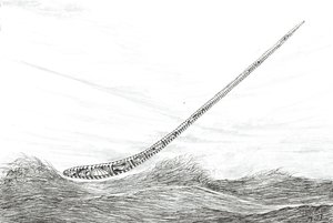 Sturmerschaffer Lake Mweru von Vincent Alexander Booth