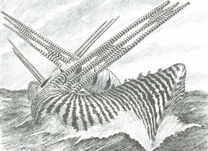 Sturmerschaffer Pontchartrain-See, 2021 von Vincent Alexander Booth