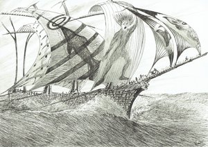 Sturmerschaffer Nordwestkap, 2022