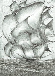 Sturmerschaffer Ochotskisches Meer, 2017