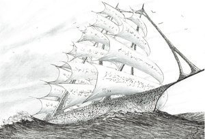 Sturmerschaffer Süd-Taranaki-Bucht