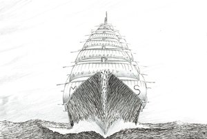 Sturmerschaffer Südwestkap von Vincent Alexander Booth