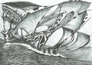 Sturmerschaffer Tasmansee, 2017 von Vincent Alexander Booth