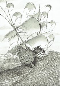 Sturmerschaffer Zhaoyang Hu, 2022