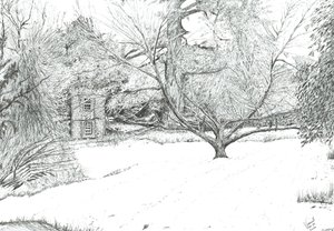 Der Taschentuchbaum in den Gärten von Monk Coniston, 2024 von Vincent Alexander Booth