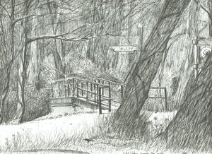 Die alte Metallbrücke, Bramhall Park, 2004