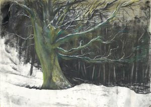 Baum im Winterschnee in Osmotherley Wäldern