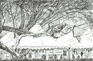 Hochzeitszelte am Lake Navaisha, Kenia, 2003 von Vincent Alexander Booth