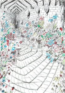 Seite 37, Das Schloss im Wald von Findhorn, 2006 von Vincent Alexander Booth