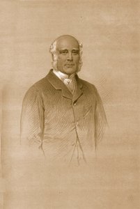 Mr. G. Lane Fox, 1879 von Vincent Brooks Day and Son