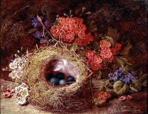 Stillleben mit Vogelnest und Blüten von Vincent Clare