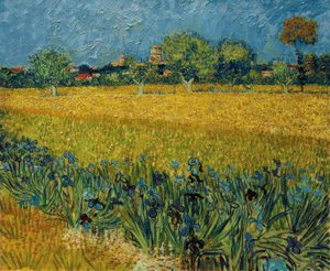 Blick auf Arles mit Irisblüten im Vordergrund