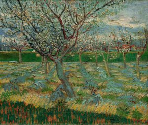 Blühender Obstgarten mit Aprikosenbäumen von Vincent van Gogh