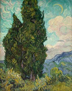 Zypressen von Vincent van Gogh