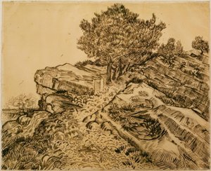 Der Felsen von Montmajour mit Pinien von Vincent van Gogh