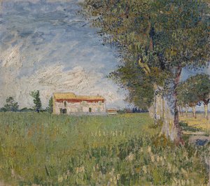 Bauernhaus in einem Weizenfeld