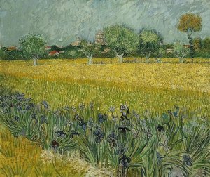Feld mit Schwertlilien in der Nähe von Arles von Vincent van Gogh