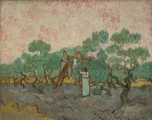 Frauen bei der Olivenernte. 1889 von Vincent van Gogh