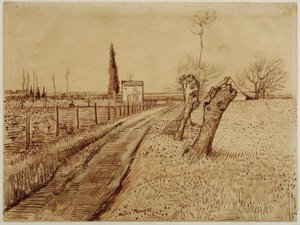 Landschaft mit Weg und Kopfweiden