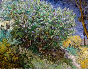 Der Fliederbusch. Vincent VAN GOGH (1853-1890) von Vincent van Gogh