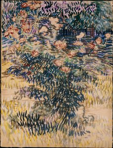 Oleander, der Krankenhausgarten in Saint-Rémy, 1889 von Vincent van Gogh