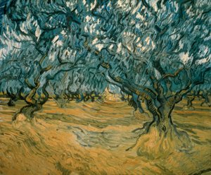 Olivenbäume von Vincent van Gogh