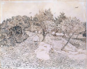 Olivenbäume in Montmajour von Vincent van Gogh