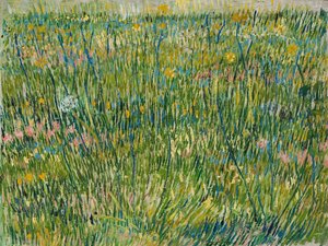 Grasfleck