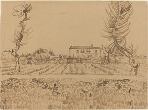 Pflüger auf den Feldern bei Arles, 1888 von Vincent van Gogh