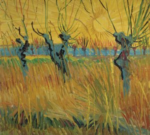Kopfweiden und untergehende Sonne