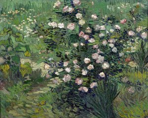 Rosen von Vincent van Gogh