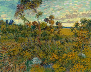 Sonnenuntergang in Montmajour