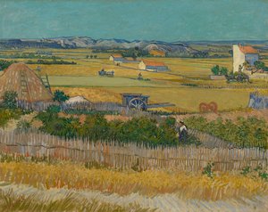 Die Ernte von Vincent van Gogh