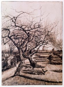 Der Pfarrgarten in Nuenen im Winter (1884)