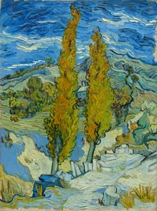 Zwei Pappeln in den Alpilles bei Saint-Rémy von Vincent van Gogh