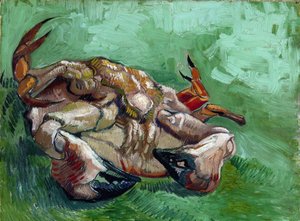 Ein Krebs auf dem Rücken liegend von Vincent van Gogh