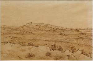 Blick auf die Crau von Vincent van Gogh
