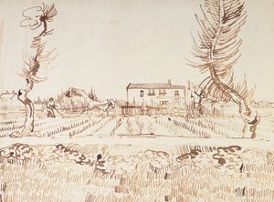 Arbeit auf den Feldern in Arles von Vincent van Gogh