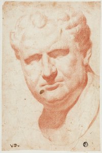 Antikes Porträtbüste von Vespasian von Vincenzo Dandini
