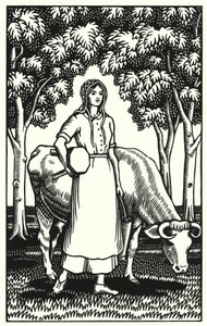 Illustration für Tess von den d