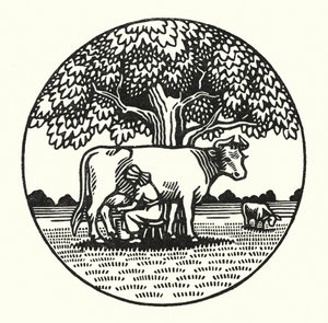 Illustration für Tess von den d