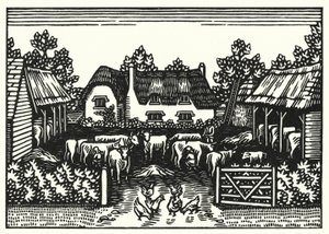 Illustration für Tess von den d