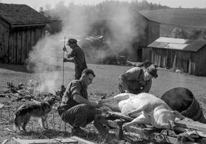 Männer bereiten ein geschlachtetes Schwein zum Braten auf einem Bauernhof vor, West Virginia